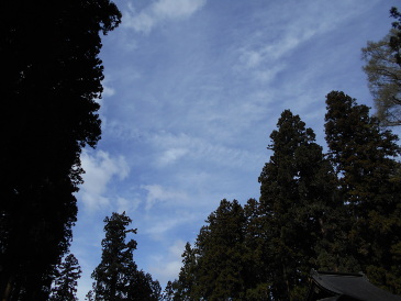 上杉家廟所から見上げた空