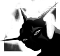 八