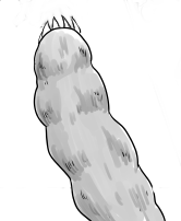 野鎚　のづち