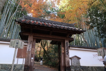 地蔵院