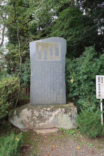 夏草やつわものどもが夢のあと