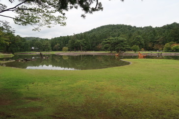 毛越寺　庭