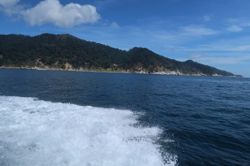 金華山
