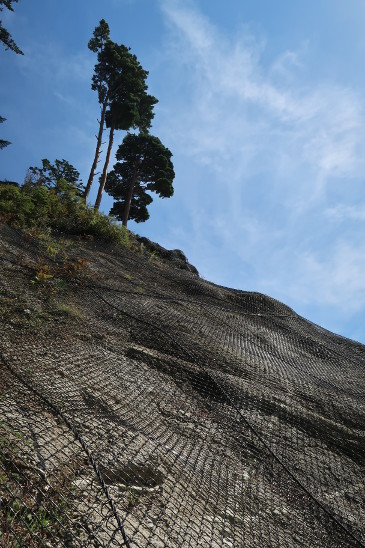 金華山で見上げる空