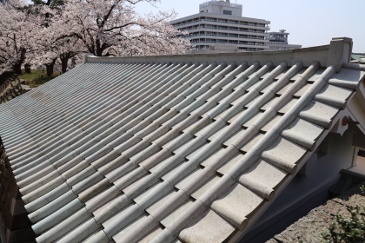 石の瓦　福井城