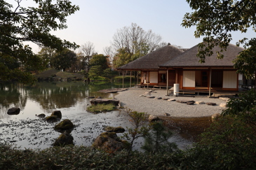 福井　庭園