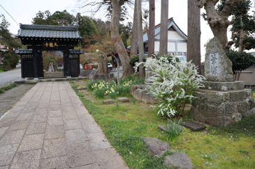 天龍寺　松岡