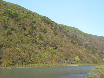 最上川　緑