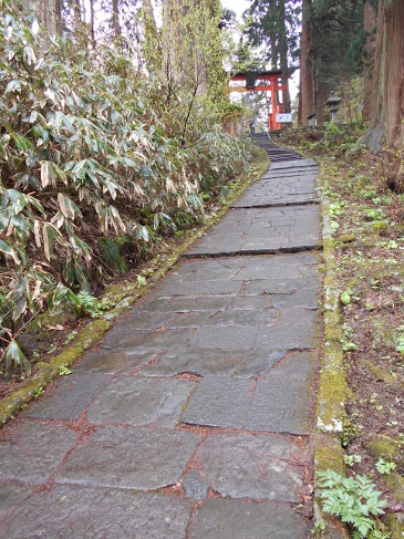 出羽三山　登山道