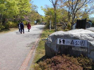 トキの森公園