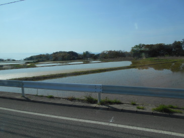 棚田　佐渡島