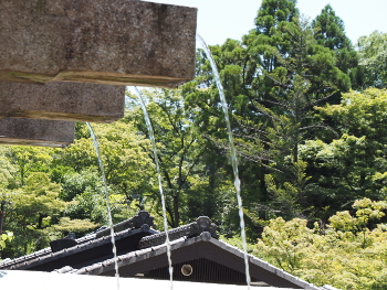 音羽の滝
