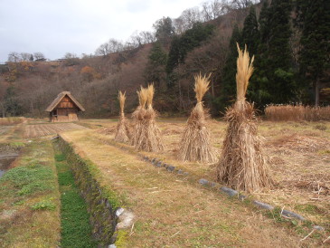 白川郷
