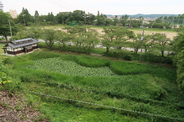 相馬中村神社