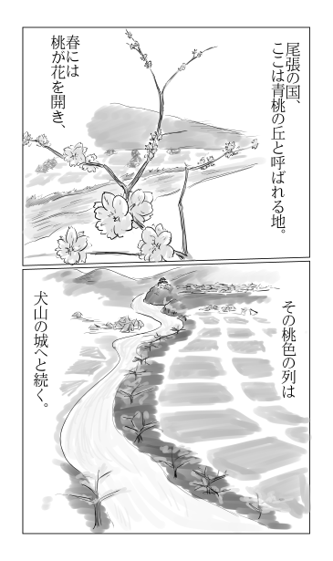 犬山の桃