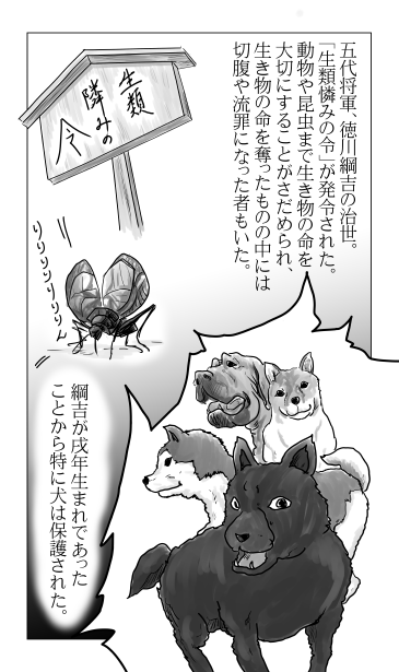 生類憐みの令