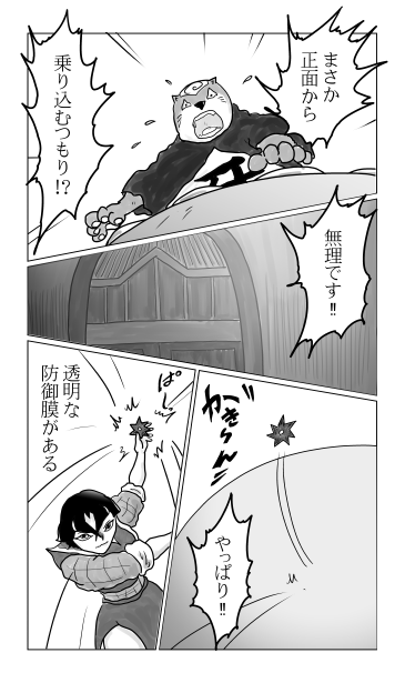 透明な防御膜