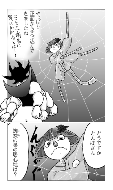 蜘蛛の巣にかかる