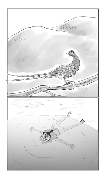 山鳥とアメンボ